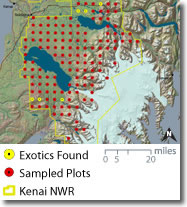 Map displaying plot sampling scheme for inventory/survey activities at Kenai NWR  in Alaska. 