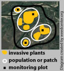 Diagrams illustrating distinctions between inventory, survey, mapping, and monitoring. 