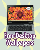 FREE Park Seed Desktop Wallpaper!