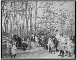 A black and white photo showing a bear in a cage with men, women, and children surrounding.