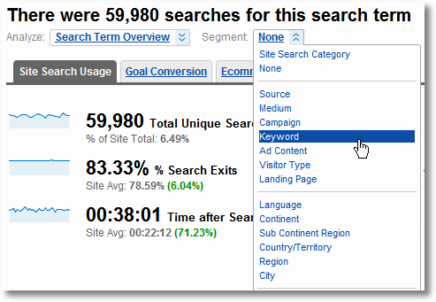 site search segmentation sm