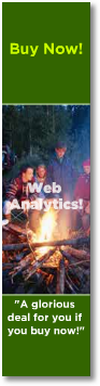 web analytics ad
