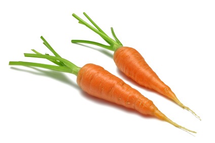 two yummy carrots