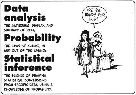 the cartoon guide to statistics
