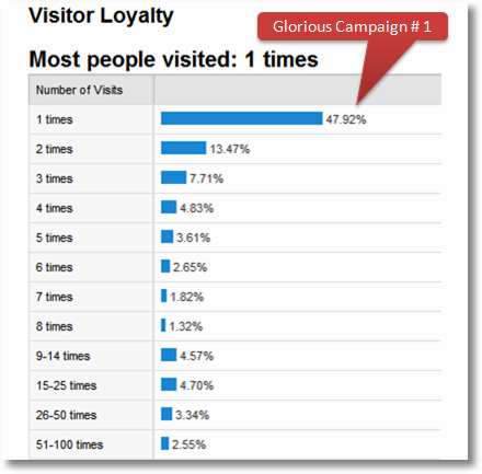 visitor loyalty analysis