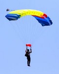 skydiver small