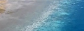 Worst coral bleaching in 15 years