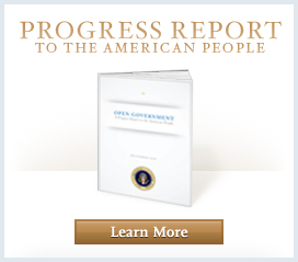Learn More about the Progress Report to the American People