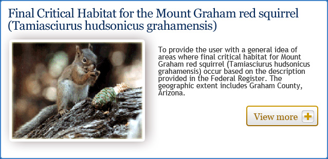 Final Critical habitat for the Mount Graham red squirrel