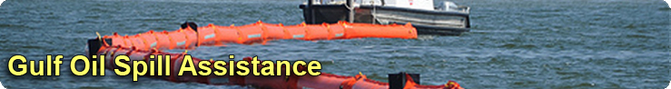 Gulf Oil Spill Assistance