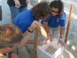 Lorna Patrick (right) places turtle egg in carton from nest on Florida beach.
