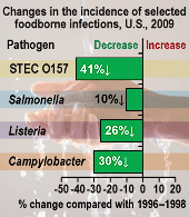 Changes in the incidence of selected foodborne infections, U.S., 2009. Percent change compared with 1996-1998. STEC O157 (Shiga toxin-producing Escherichia coli): 41% decrease; Salmonella: 10% decrease; Listeria: 26% decrease; Campylobacter: 30% decrease.
