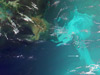 False-color image of the Gulf of Mexico oil spill