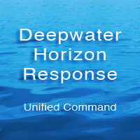 Deep Water Horizon Response