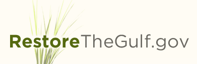 Restore the Gulf