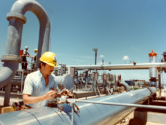 What is the Strategic Petroleum Reserve (SPR)?