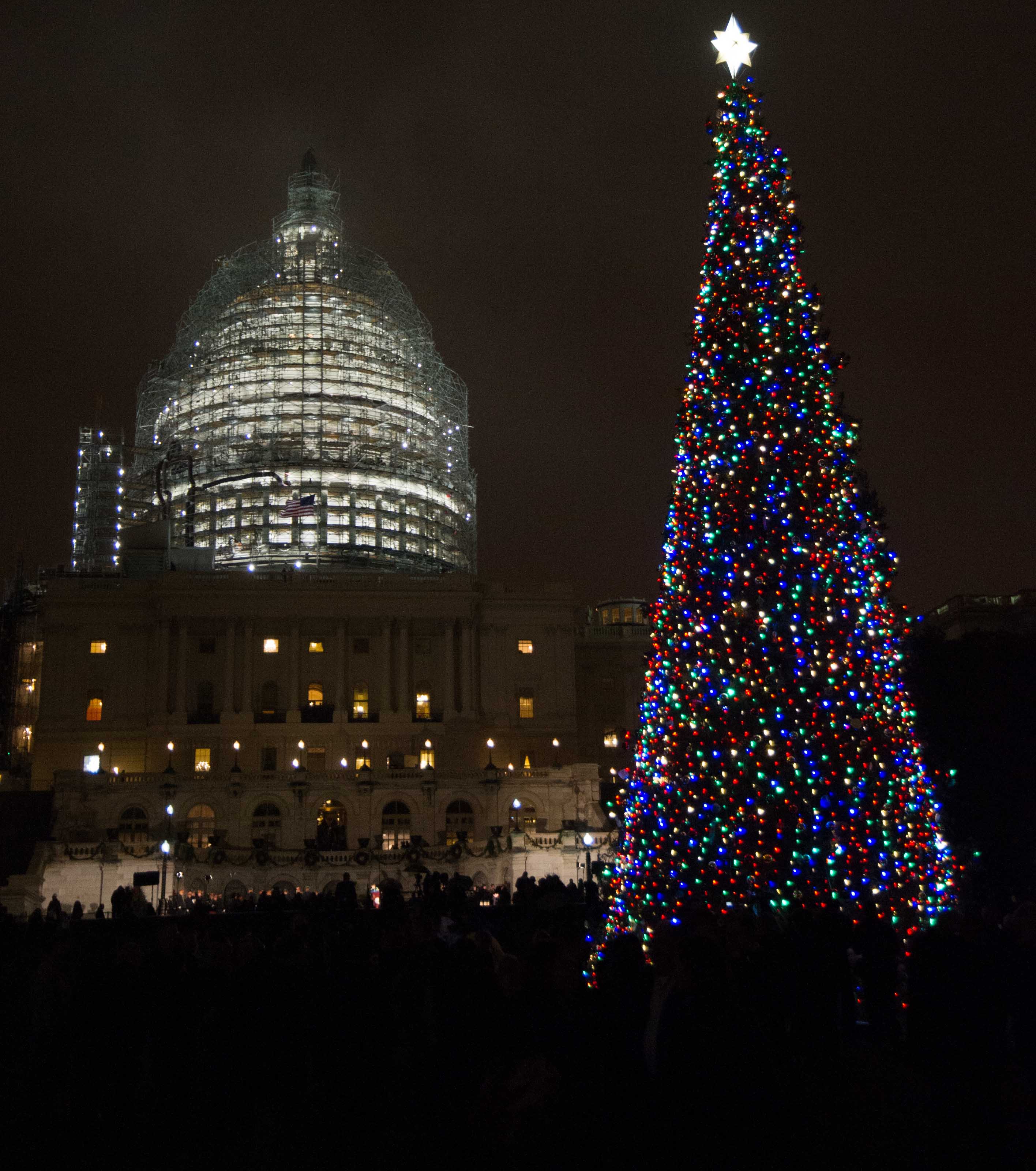 74-foot tall tree illuminates the West Front Lawn of the Capitol