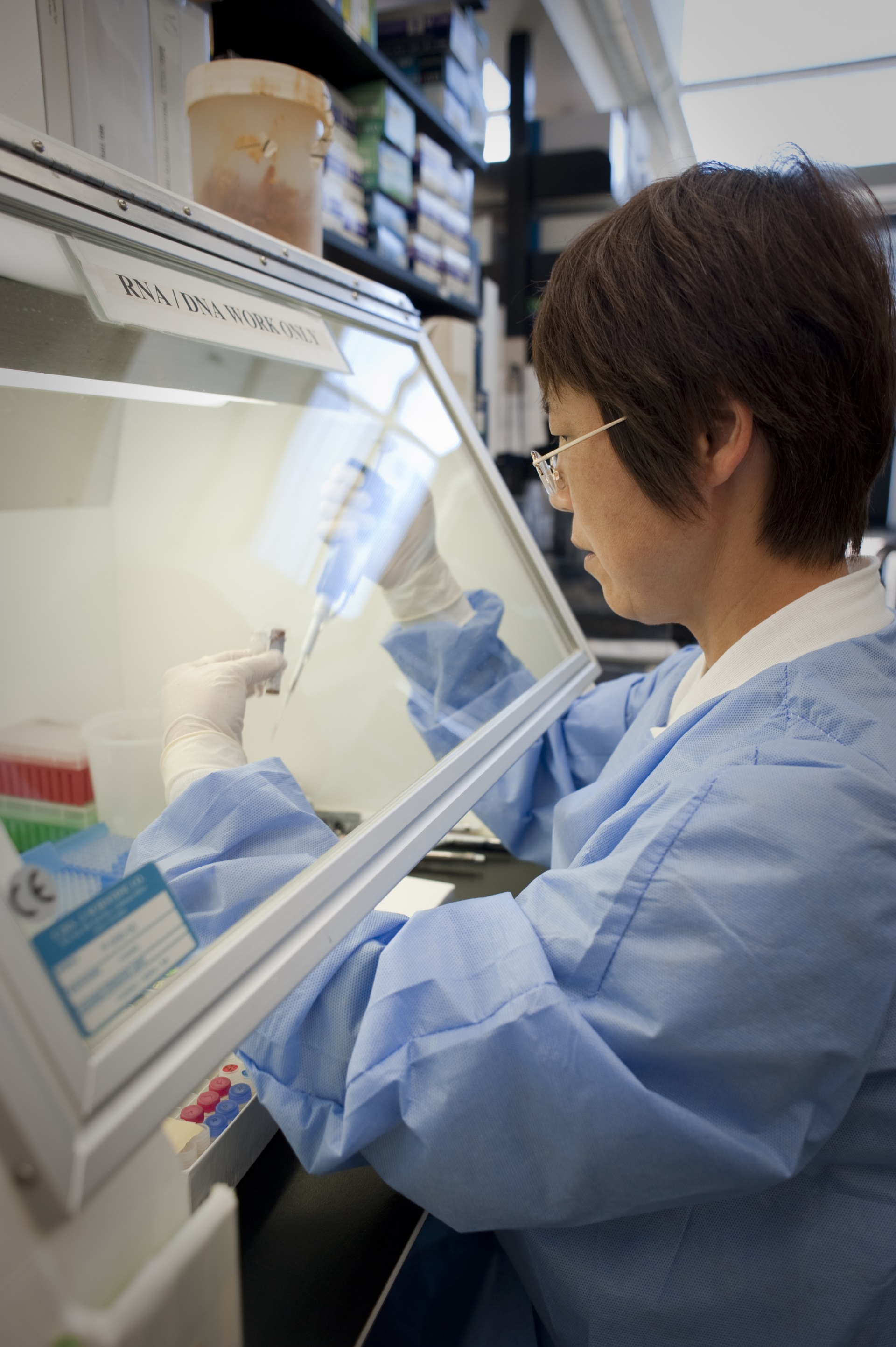 Image of an NIH scientist working at a workstation