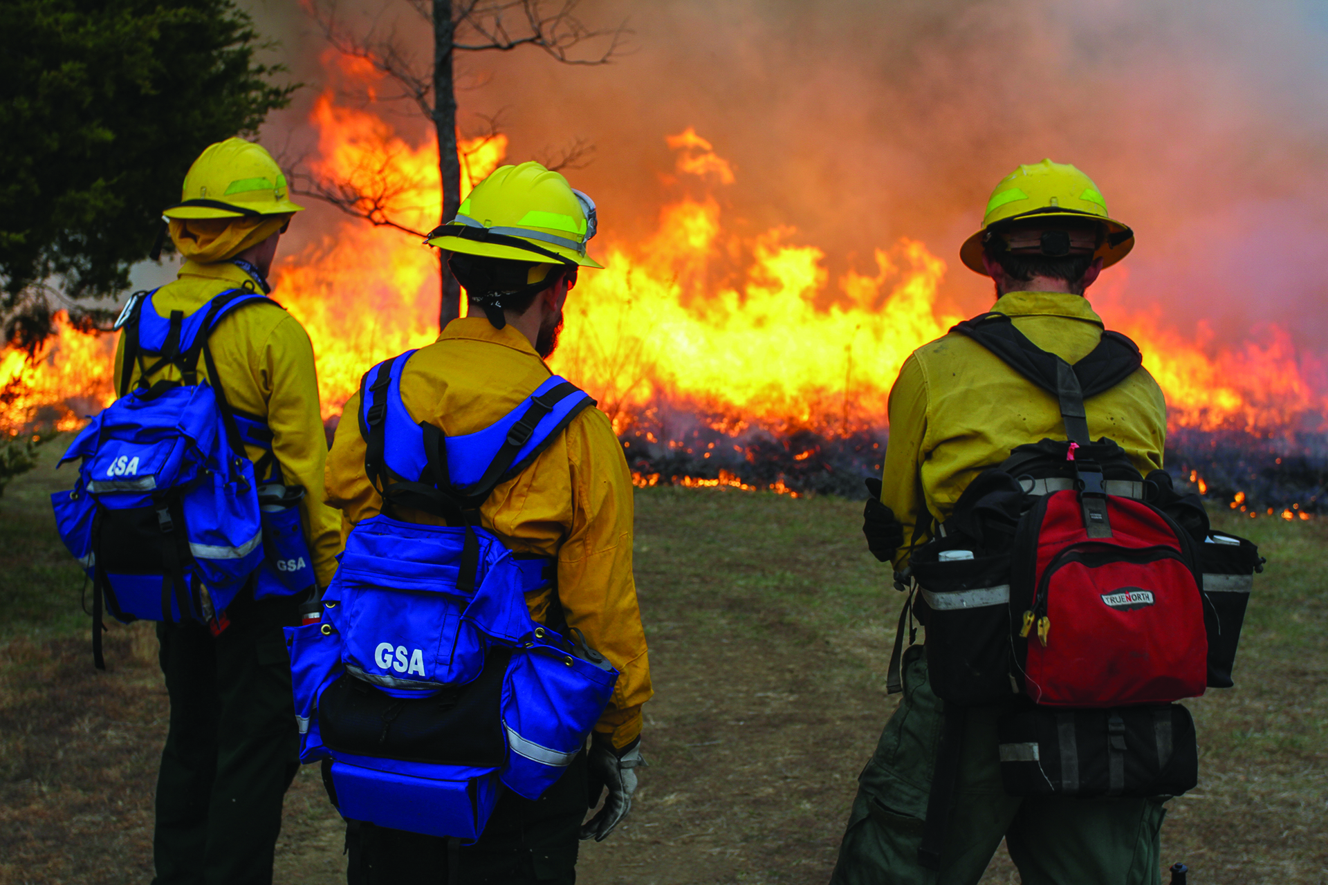 Source: National Park Service, Wildland firefighters monitor fire activity at Manassas National Battlefield Park in Virginia.