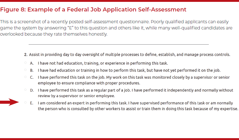 Figure 8: Example of a Federal Job Application Self-Assessment