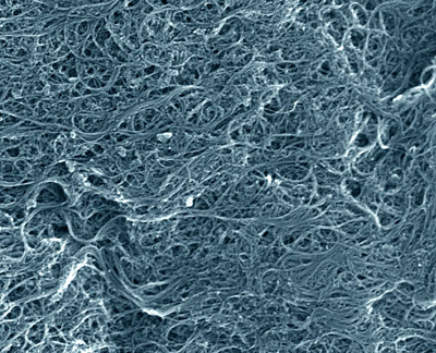 nanotubes