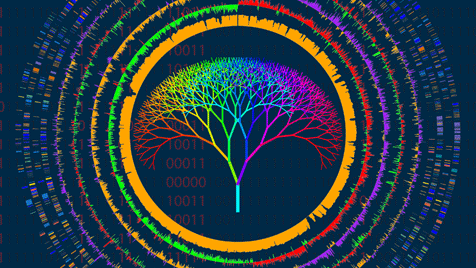 Tree of Life (journal.pcbi.0010075.g001)