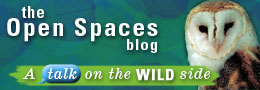 Visit the Open Spaces blog