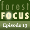Forest Focus Episode 13.