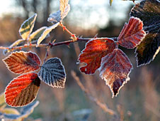 Meteorological Winter Arrives at GSFC