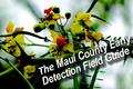Mauiearlydetectionguide may2010