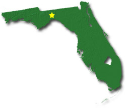 Image of Florida with a star pinpointing the location of the capital.
