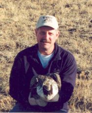 a radio-collared sage-grouse ready to release 
