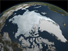 visualization showing Arctic sea ice coverage