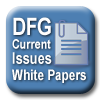 DFG Current Issues White Papers