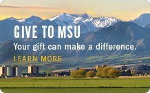 Give to MSU