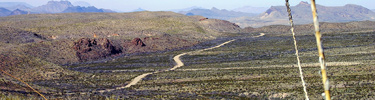 The Ross Maxwell Scenic Drive provides many excellent desert views
