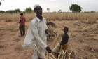 MDG : Sahel food crisis  : a man from Niger in his ravaged field due to drought