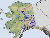 Link to the Alaska Fire and Fuels Research Map website