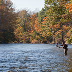 Salmon River Spey Casting