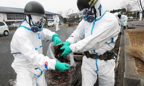 Japan's soldiers collect fallen leaves during decontamination mission in Fukushima 
