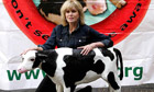 Joanna Lumley is calling for a maximum journey time of eight hours for live animals