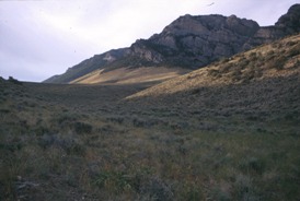 Picture of sagebrush near Arco, ID.  USGS.