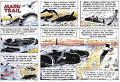 Mark Trail comic on whale strandings