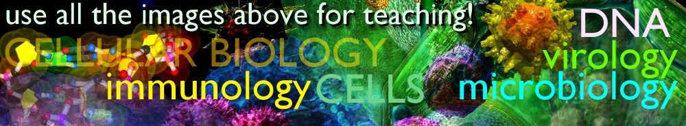 images for biology teaching: Instructor's Biological Image Set link