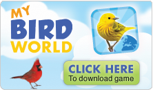 My Bird World is a collection of four delightful games that teach you about North American birds.