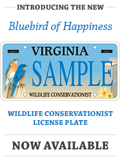 Introducting the new 'Bluebird of Happiness' Wildlife Conservation License Plate. Now Available!