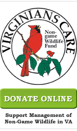 Donate Online - Support Management of Non-Game Wildlife in Virginia