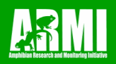 Amphibian Research and Monitoring Initiative - click to got homepage