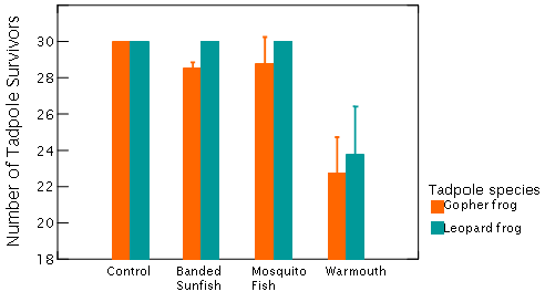 Tadpole Survival - click to enlarge