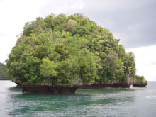 Researchers encountered a small island that has been severely eroded by wave action.